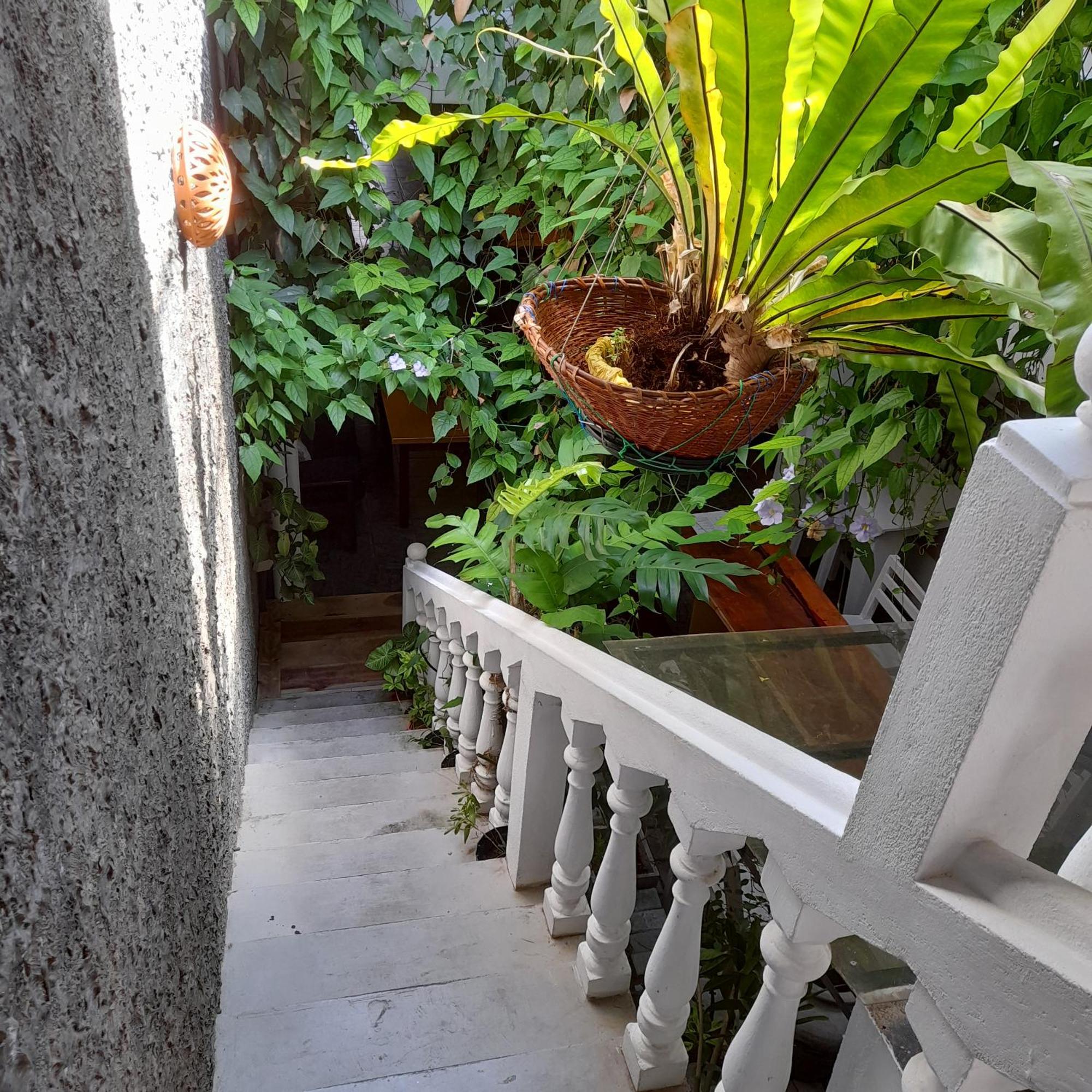 Shoba Traveller'S Tree Homes Stay Galle Exterior photo