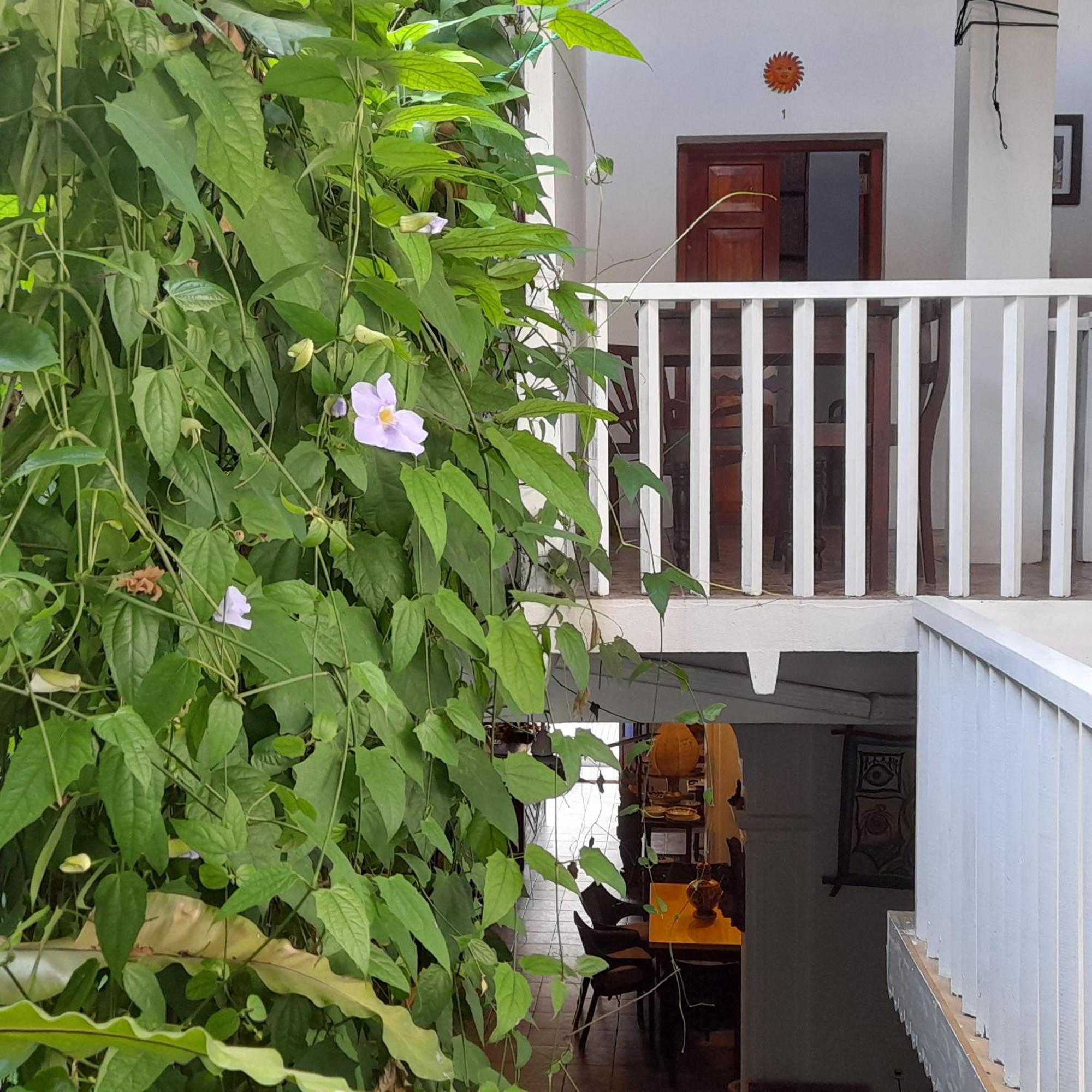 Shoba Traveller'S Tree Homes Stay Galle Exterior photo